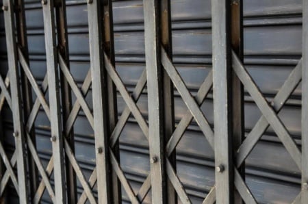 Traitement des nuisibles &agrave; Nice : pr&eacute;vention et solutions adapt&eacute;es