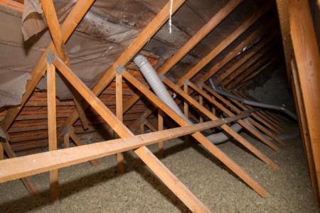 Comment se d&eacute;roule une d&eacute;sinsectisation professionnelle &agrave; Nice ?